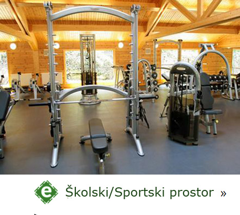 sportski